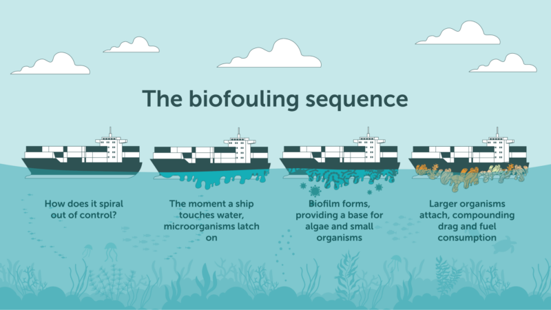 How does biofouling happen?