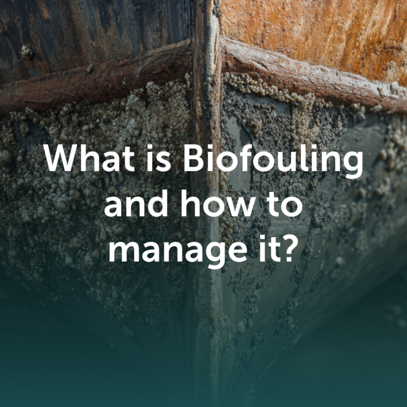 What is Biofouling and how to manage it?